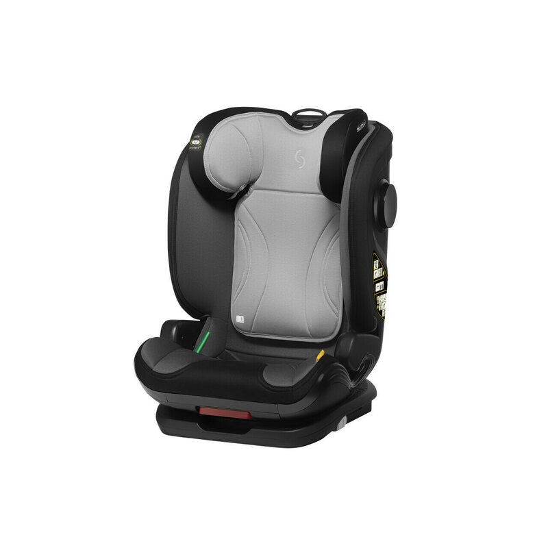 Skiddou - Scaun auto Täby, 15-36 kg, Normandic Dream,Gri,