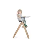 Scaun de masa multifunctional pliabil, Jane, Forest, De la 6 luni la adult, Din lemn fag, Greutate maxima 100 Kg, Mist - 4
