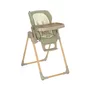 Scaun de masa si Balansoar, Jane, Mila 2 in 1, Transformabil, Multifunctional, 0 luni+, Conform cu standardele europene de securitate EN 14988:2017 + A1:2020EN 12790:2023, Sage - 1
