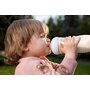 Set 1 x biberon, Philips Avent, Natural Response, +1 luna, 260 ml, Anticolici, Girafa+ 4 x tetine cu debit 4 (mediu), 3 luni+ - 20