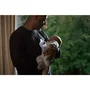 Set 1 x biberon, Philips Avent, Natural Response, +1 luna, 260 ml, Anticolici, Koala + 4 x tetine cu debit 4 (mediu), 3 luni+ - 26