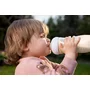 Set 1 x biberon, Philips Avent, Natural Response, +1 luna, 260 ml, Roz+ 4 x tetine cu debit 4 (mediu), 3 luni+ - 17
