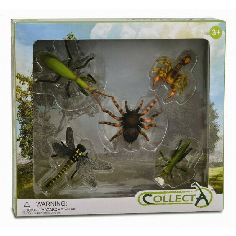 Collecta - set 5 figurine insecte