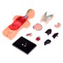 Set educational, Jokomisiada, Corpul uman, Include corpul uman si organele, Constructie solida, Dimensiune compacta, 15 x 7 x 4.5 cm, 6 ani+ - 2