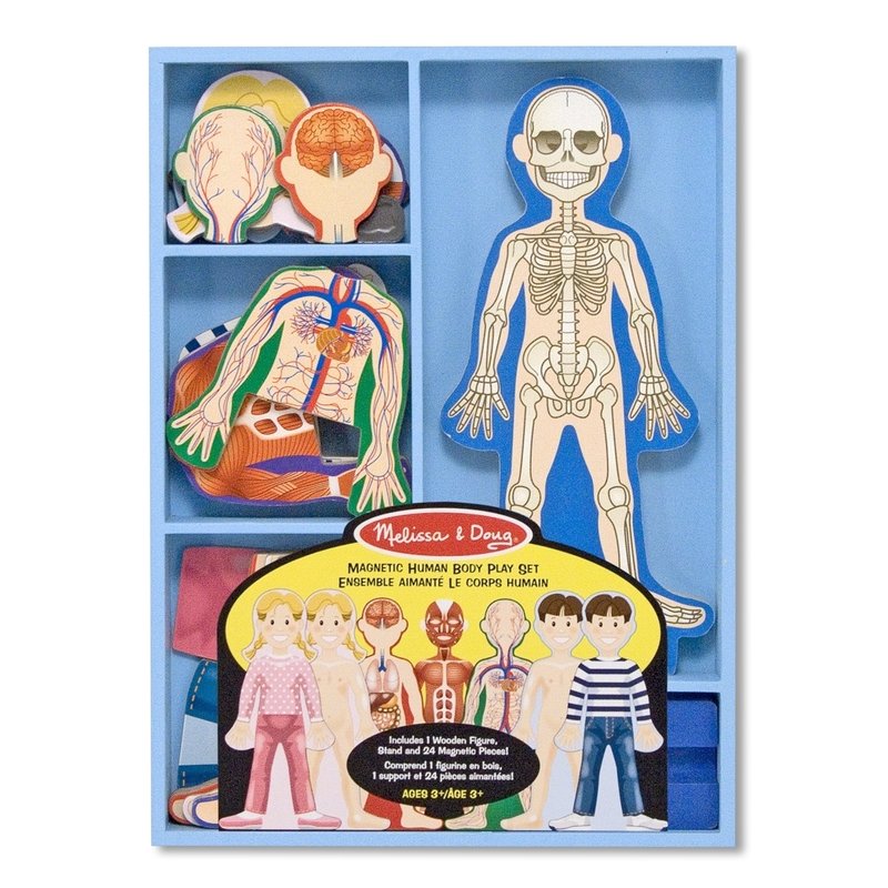 Melissa & doug - set magnetic corpul uman melissa and doug