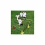 Active Play - Set motricitate Saltarello mare - 2