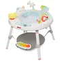 Centru de activitati, Skip Hop, Cu activitati, Cu functie de jumper, masuta interactiva sau masuta de sine statatoare, Rotire 360, Cu sunete si cantece, 4 luni+, Silver Lining Cloud - 1
