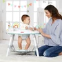 Centru de activitati, Skip Hop, Cu activitati, Cu functie de jumper, masuta interactiva sau masuta de sine statatoare, Rotire 360, Cu sunete si cantece, 4 luni+, Silver Lining Cloud - 9