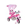 Tricicleta copii, Arti, Panda 2 Roz - 1