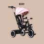 Tricicleta copii, Lionelo, Berry, 2 in 1, Multifunctionala, Suport picioare, Control al directiei, Scaun reversibil, Rotire 360 grade, Functie de roata libera, Utilizare pana la 5 ani, Constructie din otel, Conform cu standardul EN71, Roz - 40