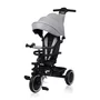 Tricicleta copii, Lionelo, Berry, 2 in 1, Multifunctionala, Suport picioare, Control al directiei, Scaun reversibil, Rotire 360 grade, Functie de roata libera, Utilizare pana la 5 ani, Constructie din otel, Conform cu standardul EN71, Gri, Resigilat - 1