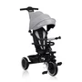 Tricicleta copii, Lionelo, Berry, 2 in 1, Multifunctionala, Suport picioare, Control al directiei, Scaun reversibil, Rotire 360 grade, Functie de roata libera, Utilizare pana la 5 ani, Constructie din otel, Conform cu standardul EN71, Gri, Resigilat - 3