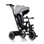 Tricicleta copii, Lionelo, Berry, 2 in 1, Multifunctionala, Suport picioare, Control al directiei, Scaun reversibil, Rotire 360 grade, Functie de roata libera, Utilizare pana la 5 ani, Constructie din otel, Conform cu standardul EN71, Gri, Resigilat - 4