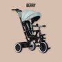Tricicleta copii, Lionelo, Berry, 2 in 1, Multifunctionala, Suport picioare, Control al directiei, Scaun reversibil, Rotire 360 grade, Functie de roata libera, Utilizare pana la 5 ani, Constructie din otel, Conform cu standardul EN71, Verde - 25