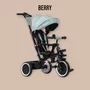 Tricicleta copii, Lionelo, Berry, 2 in 1, Multifunctionala, Suport picioare, Control al directiei, Scaun reversibil, Rotire 360 grade, Functie de roata libera, Utilizare pana la 5 ani, Constructie din otel, Conform cu standardul EN71, Verde - 25
