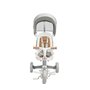 Tricicleta copii, Toyz, Faro, Pliabila, Multifunctionala, Pana la 25 kg, Spatar inclinabil, Maner detasabil si reglabil in 4 pozitii, Volan reglabil, Suport picioare pliabil, 1,5-6 ani, Gri - 8