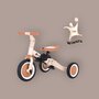 Tricicleta, Petite&Mars, Turbo, 5 in 1, Multifunctionala, Vehicul de impins, Bicicleta cu/fara pedale, Cu maner de ghidaj, Detasabil, Roti din cauciuc, Pana la 25 kg, 1.5-5 ani, Bej - 3