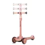 Trotineta, Lionelo, Franky, Multifunctionala, Pliabila, Pana la 50 kg, Bicicleta cu 3 roti si trotineta de echilibru, Ghidon reglabil, Sezut detasabil, Roti cu LED, Conform cu EN71, EN62115, 12 luni+, Roz - 6