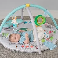 Centru de joaca 3 in 1 Taf Toys - Curiozitati Distractive
