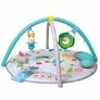 Centru de joaca 3 in 1 Taf Toys - Curiozitati Distractive