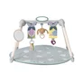 Centru De Joaca Pliabil TAF TOYS - URBAN GARDEN