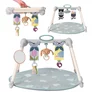 Centru De Joaca Pliabil TAF TOYS - URBAN GARDEN