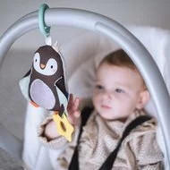 Inel gingival Taf Toys - Pinguinul Prince