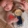Jucarie Zornaitoare Si De Activitate TAF TOYS - Catelul DANIEL