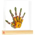 Set Amprente Familie Tiny Love - Family Prints