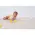Covoras De Joaca TAF TOYS - FOLD 'N FUN - FANTASY BLOOM