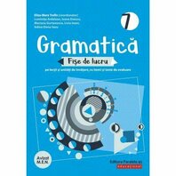 GRAMATICA. FISE DE LUCRU. CLASA VII. 2020-2021