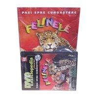 Pasi spre cunoastere - Felinele