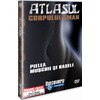 DVD Atlasul Corpului Uman - Pielea. Muschii si Oasele