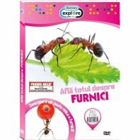 DVD Afla totul despre furnici