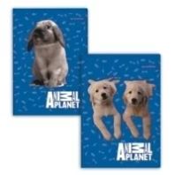 AP Cute Caiet A5/16S