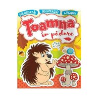Toamna In Padure