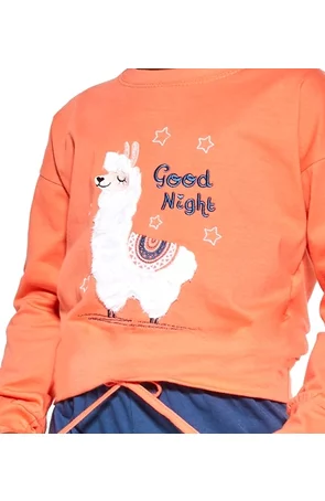 Pijama fete 9-14 ani, 100% bumbac, Cornette G470-144 Good Night