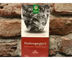 NATURAL CEAI GASTROPROTECT 50 GR