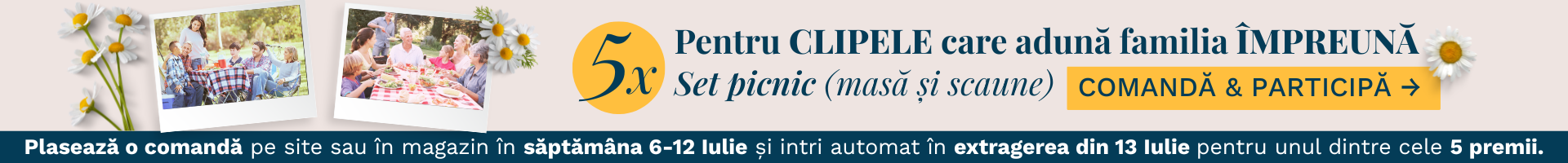 CONCURS PICNIC