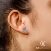 Cercei Labrador - Argint 925, surub