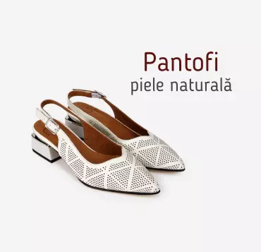 Colectia Pantofi Dasha 2025