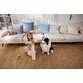 Camera de supraveghere eufy IP interior Pan/Tilt, Wi-Fi, IP, 2K 1080P, Alb - 6