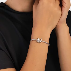 Ezüst talizmán N betűvel a történetből