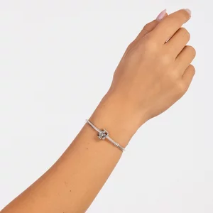 Ezüst talizmán P betűvel a történetből