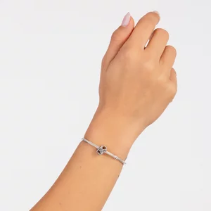 Ezüst talizmán S betűvel a történetből