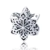 Talisman din argint Snowflake picture - 1