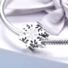 Talisman din argint Winter White Snowflake picture - 3
