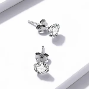 Cercei din argint Simple Crystal