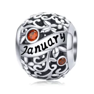 Talisman din argint Birthday Stone January