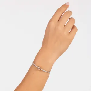 Talisman din argint Rose Gold Heart of Nature